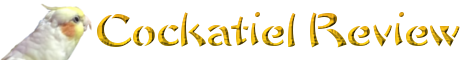 Cockatiel Review