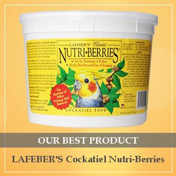 best cockatiel food review