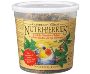 most nutritious and best mix seeds for cockatiel