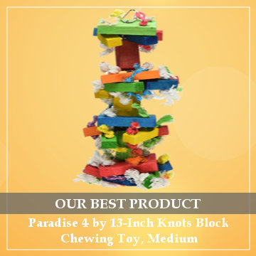 best toys for cockatiels reviews