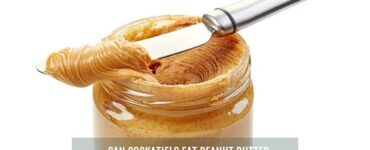 can cockatiels eat peanut butter